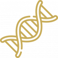 DNA icon